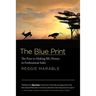The Blue Print: The Keys to Making BIG Money in Professional Sales