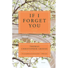 If I Forget You