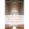 An Ordinary Mission of God Theology: Challenging Missional Church Idealism, Providing Solutions