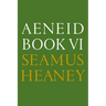 Aeneid Book VI: A New Verse Translation: Bilingual Edition