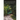 Freedom Runner