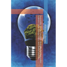 Renewable Energy Transition: Strategies for Sustainable Systems, Clean Energy Policy, and Global Solutions