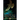 The Mist of the Niflungar