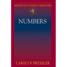 Abingdon Old Testament Commentaries: Numbers