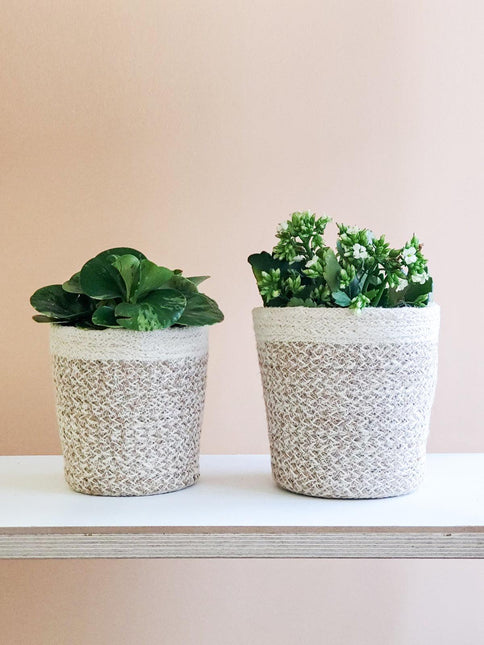 Agora Plant Basket - White by KORISSA - Vysn