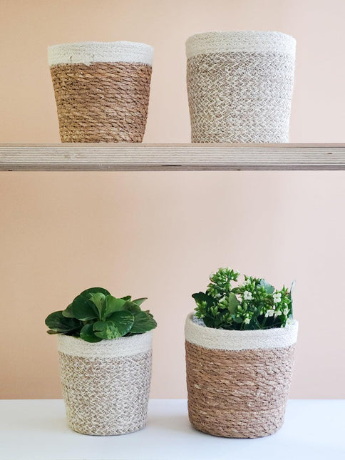 Agora Plant Basket - White by KORISSA - Vysn