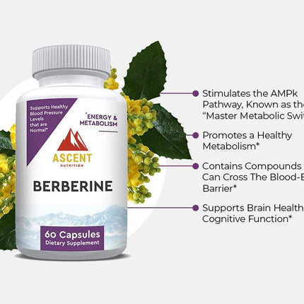 Berberine by Ascent Nutrition - Vysn