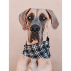 medium dog scarf