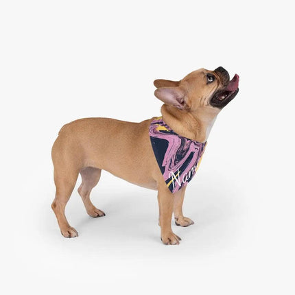 Custom Dog Bandana - Pink & Yellow Patterns by GROOMY - Vysn