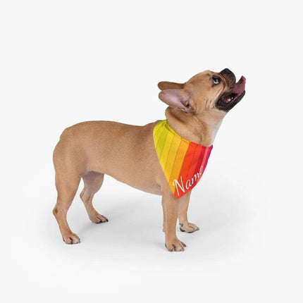 Custom Dog Bandana - Rainbows Patterns by GROOMY - Vysn