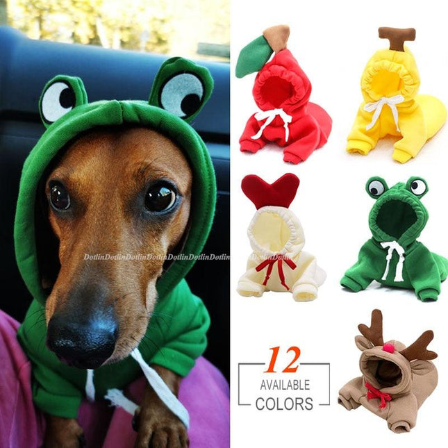 Dach Everywhere™ Cute & Colorful Dog Costume by Dach Everywhere - Vysn