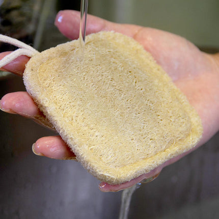 Dish Scrubber Pads. Heavy Duty, Non-Scratch, Made from Plant Fibers, From Grand Fusion by Grand Fusion Housewares, LLC - Vysn