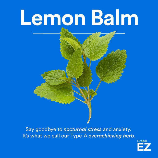 Dream EZ Sleeping Pill, Extra Strength, Valerian, Lemon Balm, Insomnia Relief | 36 CT by EZ Lifestyle - Vysn