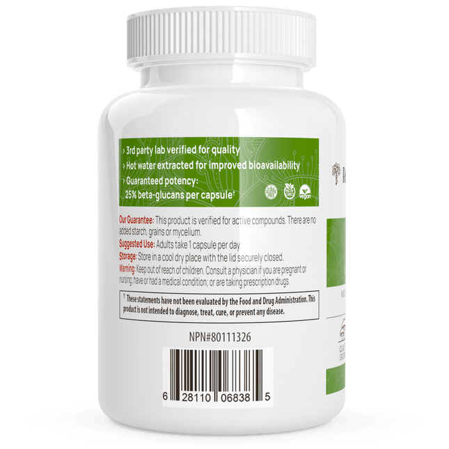 Ergo+ Ergothioneine Supplement by Real Mushrooms - Vysn