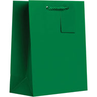 Heavyweight Solid Color Medium Gift Bags, Matte Green by Present Paper - Vysn