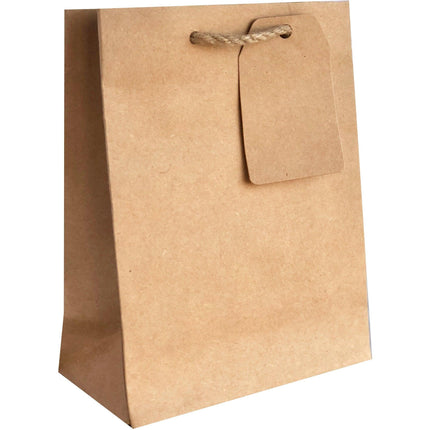 Heavyweight Solid Small Gift Bags, Natural Kraft by Present Paper - Vysn