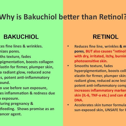 Natural Bakuchiol Serum Retinol Alternative for Anti-Aging by Aniise - Vysn