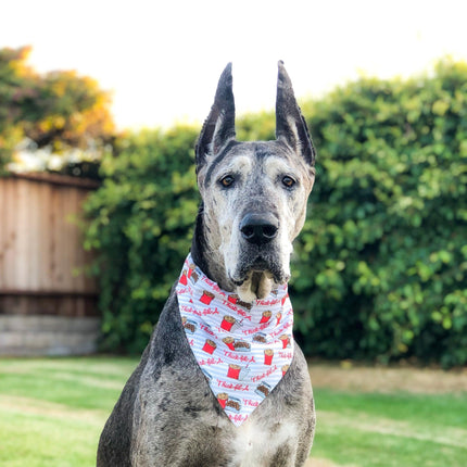 Nuggets and Fries Bandana by Dope Dog Co - Vysn