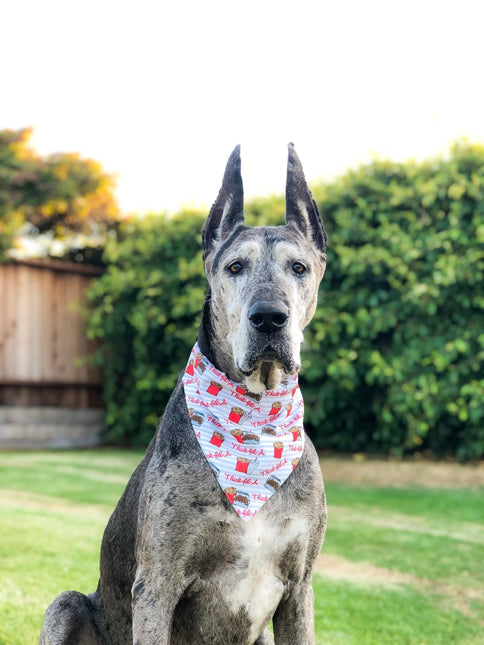 Nuggets and Fries Bandana by Dope Dog Co - Vysn