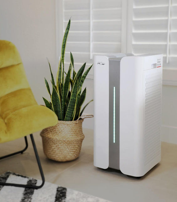 O2 FLOW Commercial size Air Purifier with Hepa and carbon filter by Joya Mia - Vysn