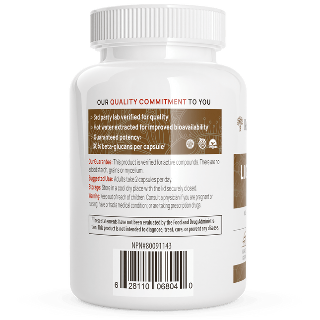 Organic Lions Mane Extract Capsules by Real Mushrooms - Vysn