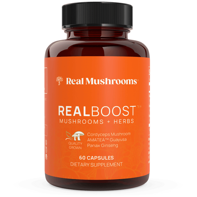 RealBoost - Cordyceps, Guayusa and Ginseng by Real Mushrooms - Vysn