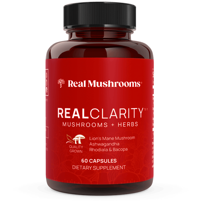 RealClarity - Lion's Mane, Ashwagandha, Rhodiola and Bacopa by Real Mushrooms - Vysn