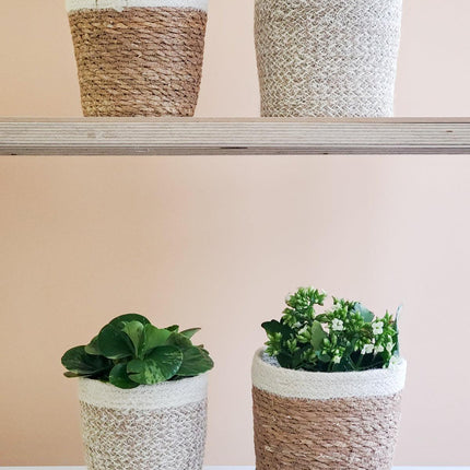 Savar Plant Basket by KORISSA - Vysn