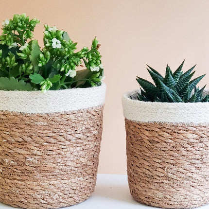 Savar Plant Basket by KORISSA - Vysn
