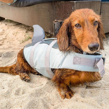 Shark & Mermaid Dog Life Jacket by Dach Everywhere - Vysn