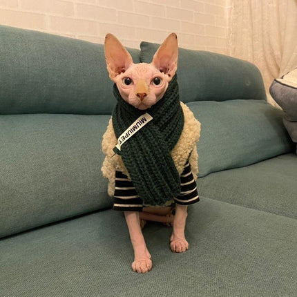 Sweater w/ Scarf - Dog & Cat Apparel by GROOMY - Vysn