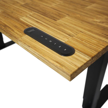 TerraDesk | Eco-Friendly Height-Adjustable Electric Standing Desk by EFFYDESK - Vysn